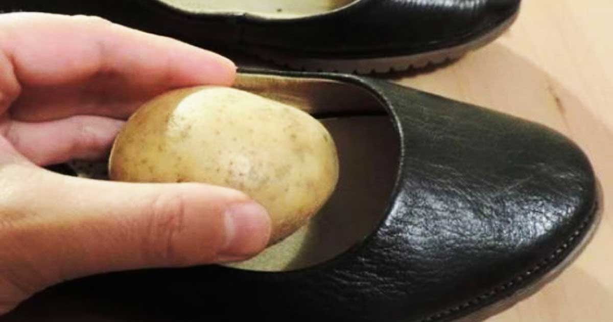 Try Minefield apprentice Pune un cartof în pantofi și vezi ce se întâmpla! Acest truc îți va fi de  ajutor! – Stiletto.ro